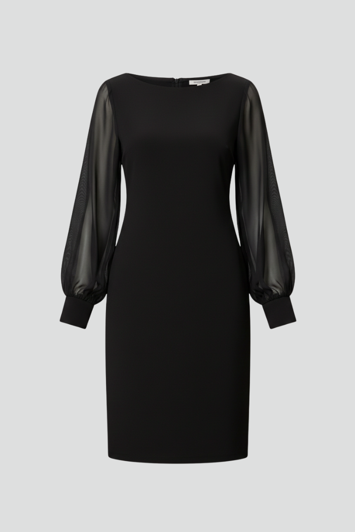 Women’s Mini Dress with Sheer Sleeves