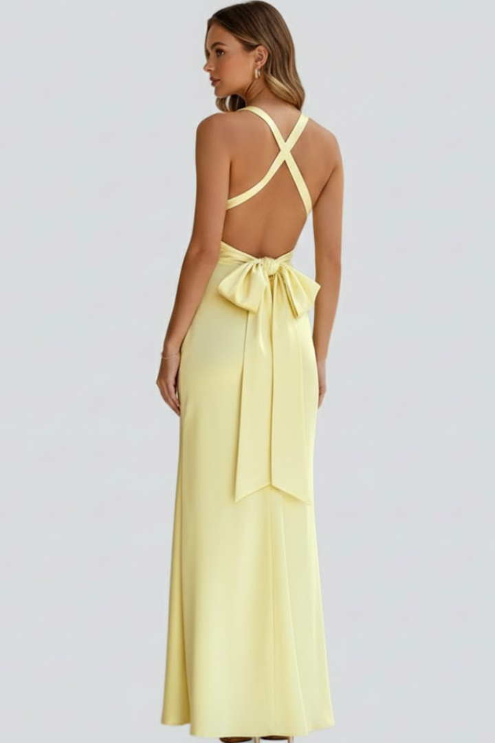 Women’s Maxi Dress with V-Neck and Fitted Waist