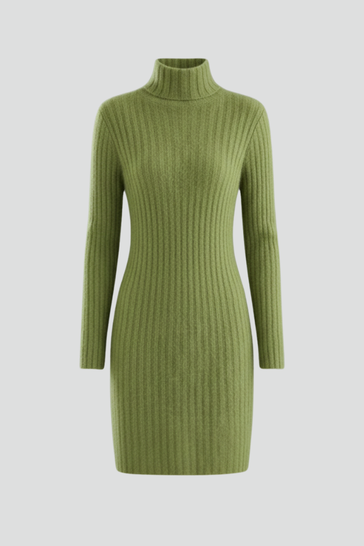 Women’s Mini Dress with High Neck and Long Sleeves